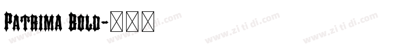 Patrima Bold字体转换